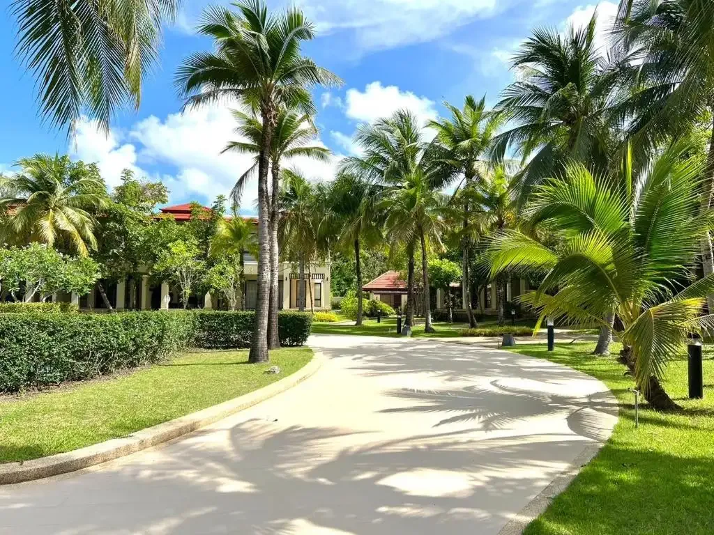 Внутренняя дорога и пальмовая аллея закрытого посёлка Laguna Village, Банг-Тао, Пхукет